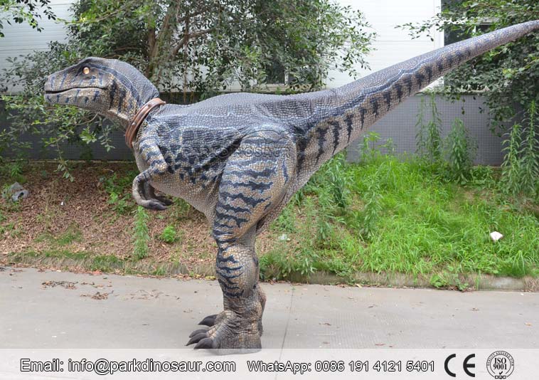 Disfraz de Velociraptor con piernas ocultas realistas